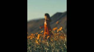 Joep Beving - For Mark