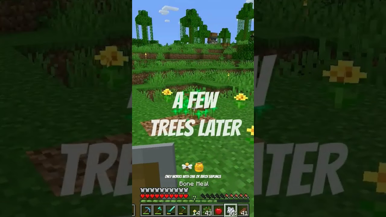 Как вызвать пчёл в режиме выживания в Minecraft — быстрый и простой урок