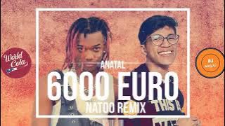 DJ NATOO X ANATAL - 6000 EURO  Remix