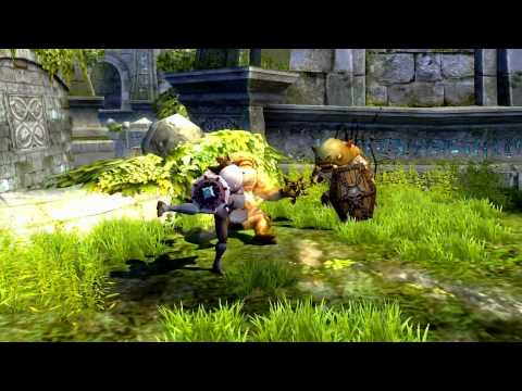 Dragon Nest: Who Will You Be? (Cleric)