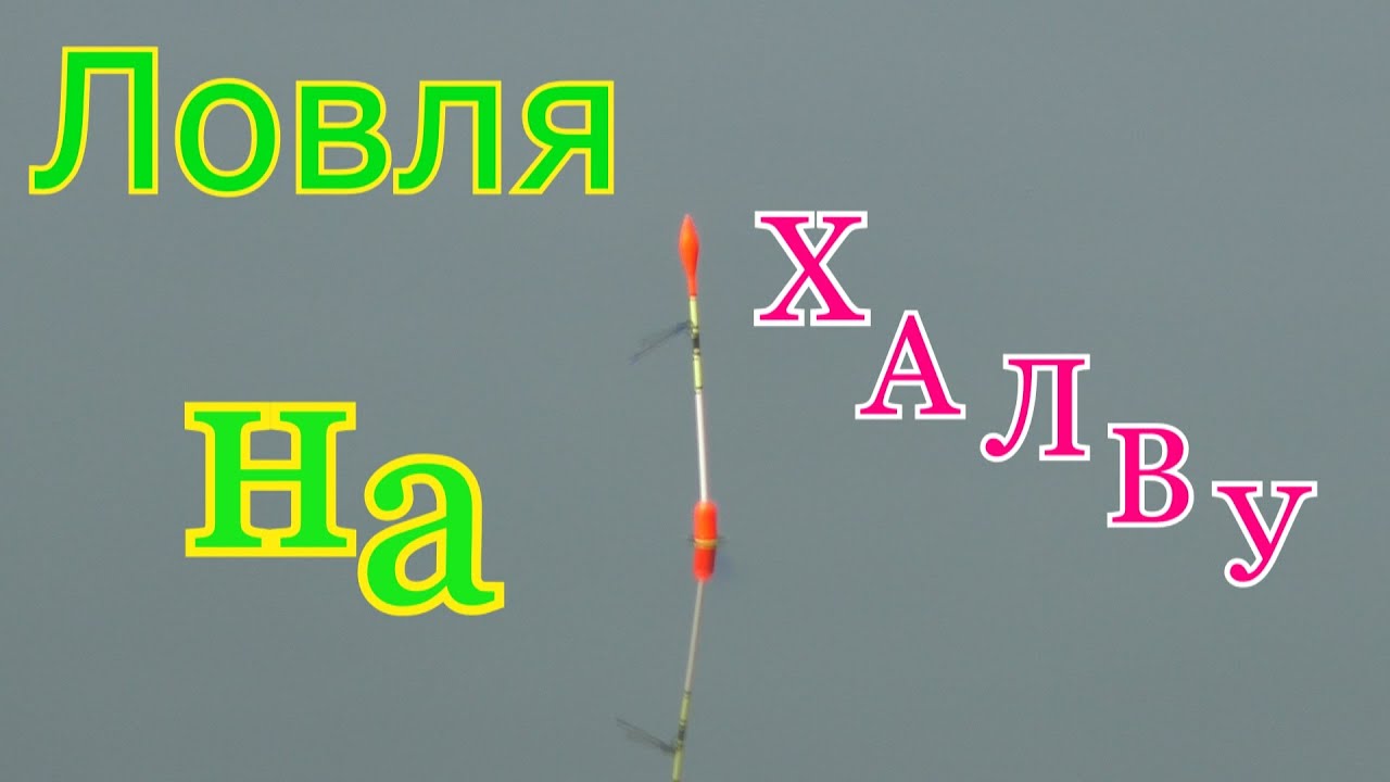 Рыбалка.  Ловля на халву. My fishing.