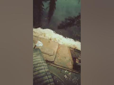 тайга мама - YouTube
