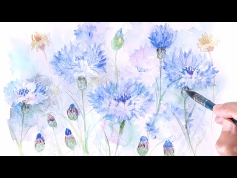 水彩画]初夏の一年草ヤグルマギクを水彩ガッシュで描く/watercolor