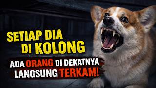 EVERY TIME HE'S UNDER THE BOX, SOMEONE PASSES BY AND GETS CAUGHT‼️