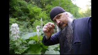 CE ESTE PECETEA, 666 ȘI CINE ESTE FIARA? Părintele Filoteu