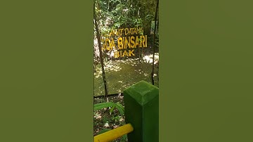 Goa Peninggalan Jepang 🇯🇵 Biak Papua #sejarah #papua #wonderfulindonesia