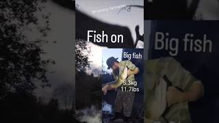 Fish On Strong Pike unstoppable fishing fyp outdoors hauki finland pikefishing bait suomi