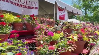 The Flower Market returns to Delaware for Mother’s Day weekend