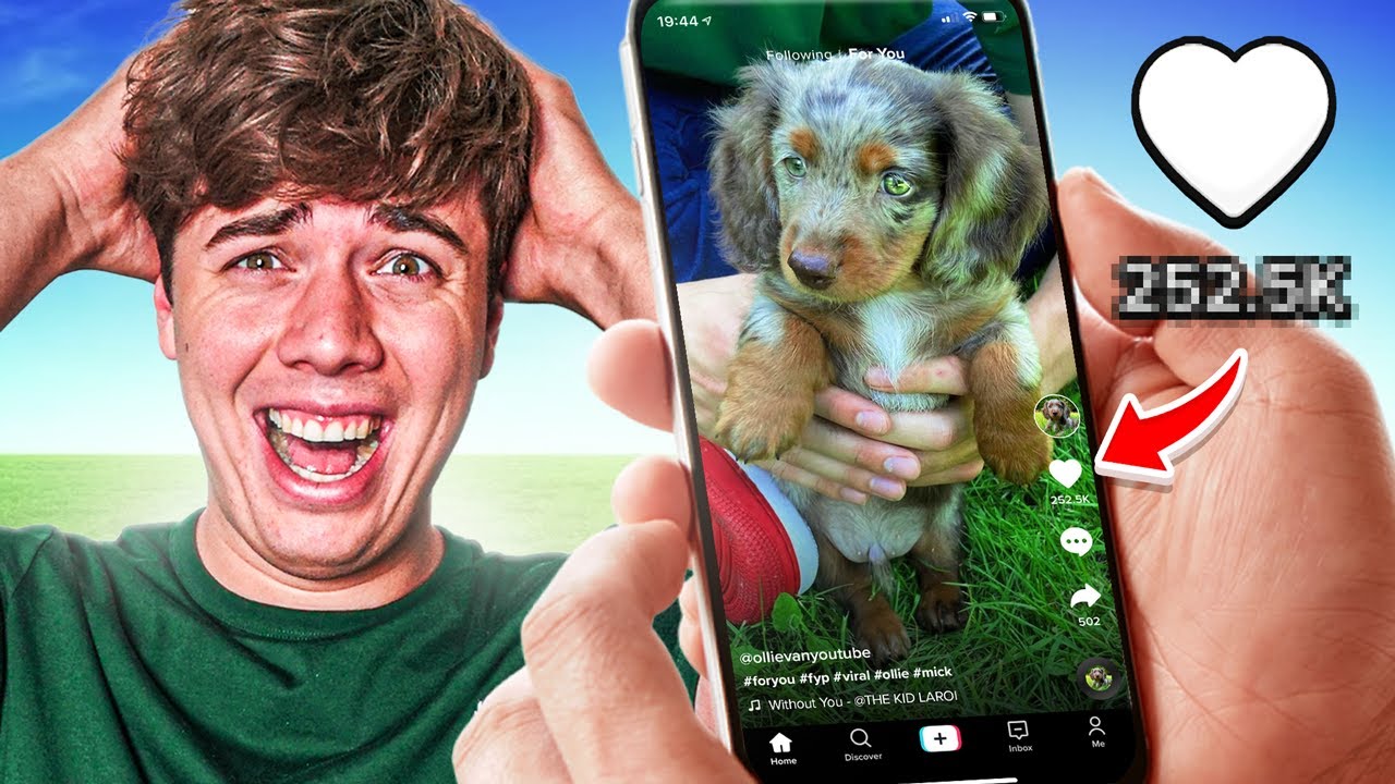 OLLIE BEKEND MAKEN OP TIKTOK BINNEN 24 UUR!