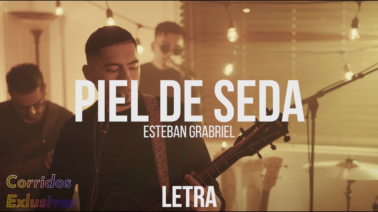 Esteban Gabriel Piel de Seda song cover art