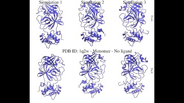 Molecular dynamics simulation of SARS-CoV main protease monomer - No ligand (PDB ID: 1q2w)