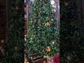 Christmas Tree at Wilderness Lodge! #Shorts