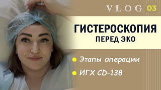 IVF. Hysteroscopy // CD-138 // Preparation for IVF