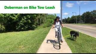 Bike Tow Leash (My Doberman loves it) by Mom2Matt Plus3 4,816 views 4 years ago 3 minutes, 51 seconds