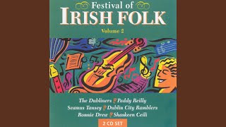 Ceathru Cavan/The Wild Irishman