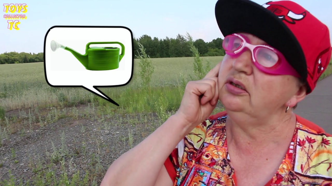 Giant Watermelon & Bird | Funny Story