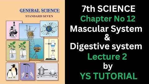 7th Science | Chapter 12| MuscularSystem & Digestive system | Lecture 2 |maharashtra board |