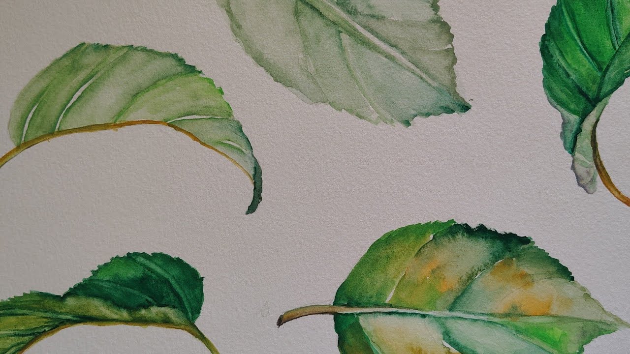 Que temos? Ai, ai.... Folhas 