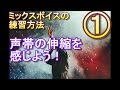 ミックスボイス習得①声帯を薄く伸ばす練習方法。(実演解説)