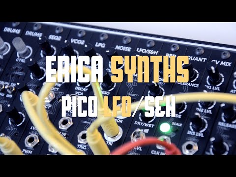 Erica Synth Pico Quant （元箱あり、電源ケーブルなし） Erica Synths - Pico Quant