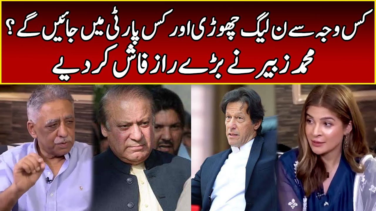 Muhammad Zubair Exposed PML-N | Speak Easy Ayesha Omar l 365 News | EK2S