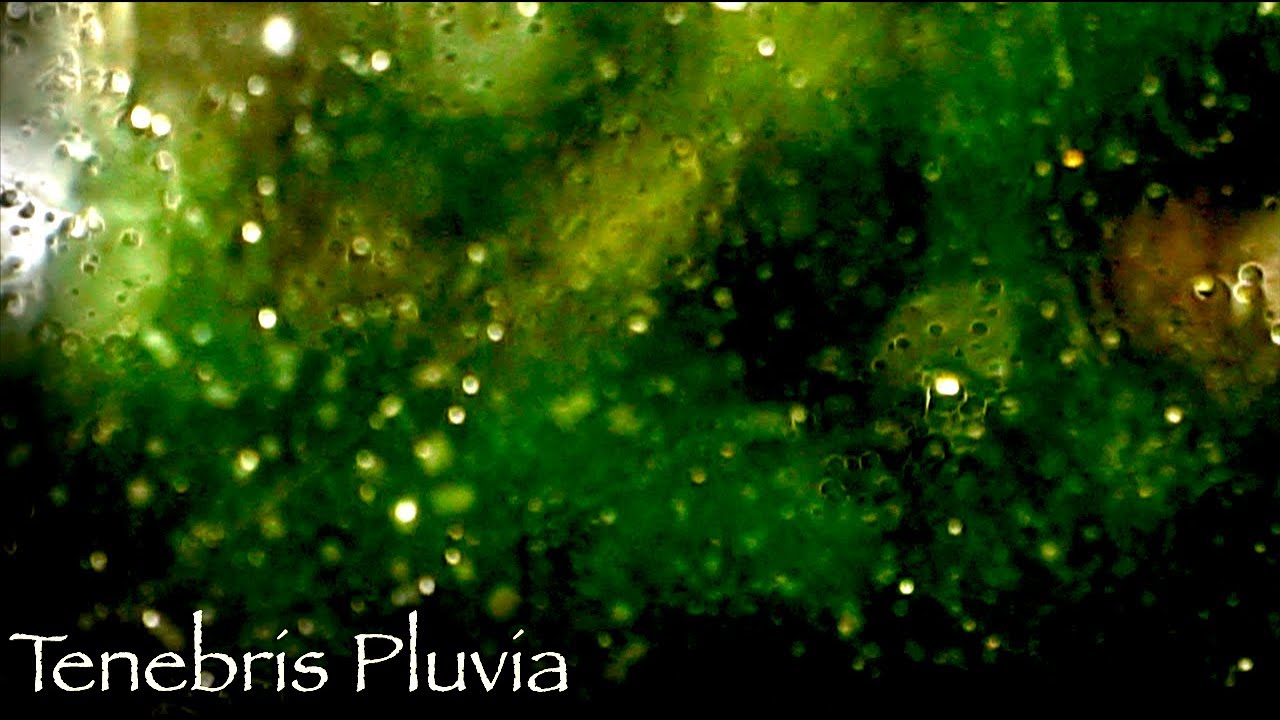 Tenebris Pluvia - Dark Ambient Soundscape