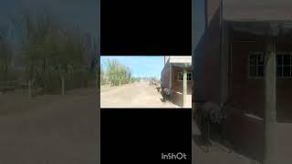 Garayalde chubut Patagonia Argentina