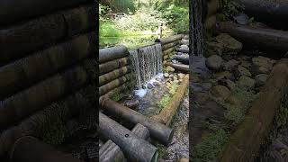 #oscoda #michigan #waterfall #waterfallsounds #fypシ゚viral #fypシ #walleyefishing #fishtok #catfishing