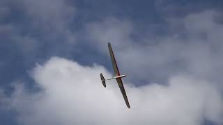 Graupner Weihe 50 18 März2023