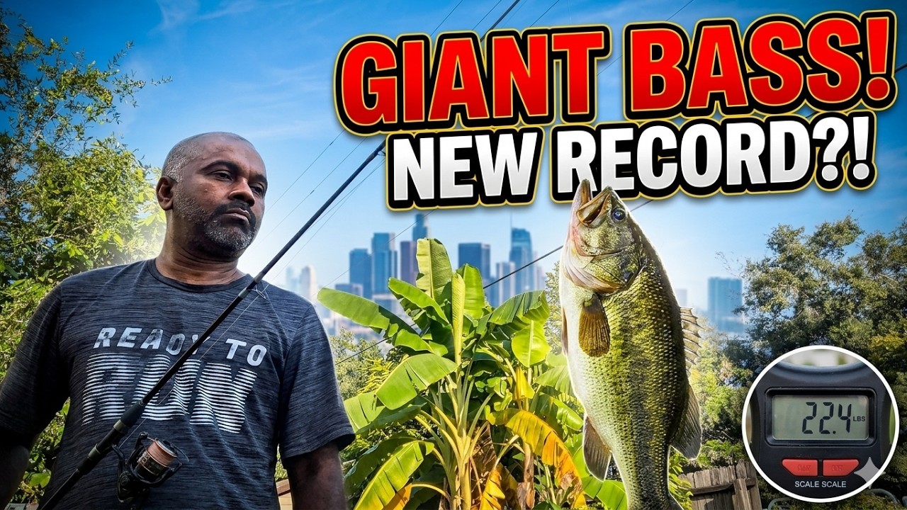 Giant Bass Fishing: The Ultimate Fishing Adventure!