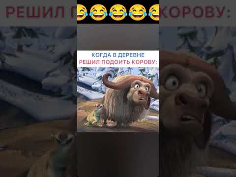 Я думал ты самка / ледниковый период#тикток #приколы#ледниковыйпериод