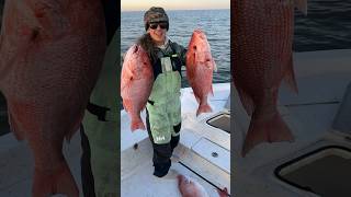 These fish are SPINY! #redsnapper #fishing