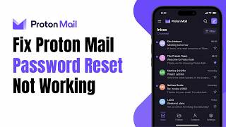 How to Fix Photon Mail password reset not working Guide