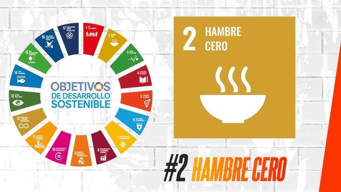 ODS 2 | Hambre cero - YouTube