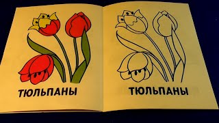 Моя Первая  Раскраска | Тюльпаны | My First Coloring Book