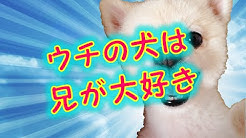 2ちゃんねる 笑える話 長編 短編 妄想系 2ch Youtube 2ちゃんねる 笑える話 長編 短編 妄想系 2ch Youtube