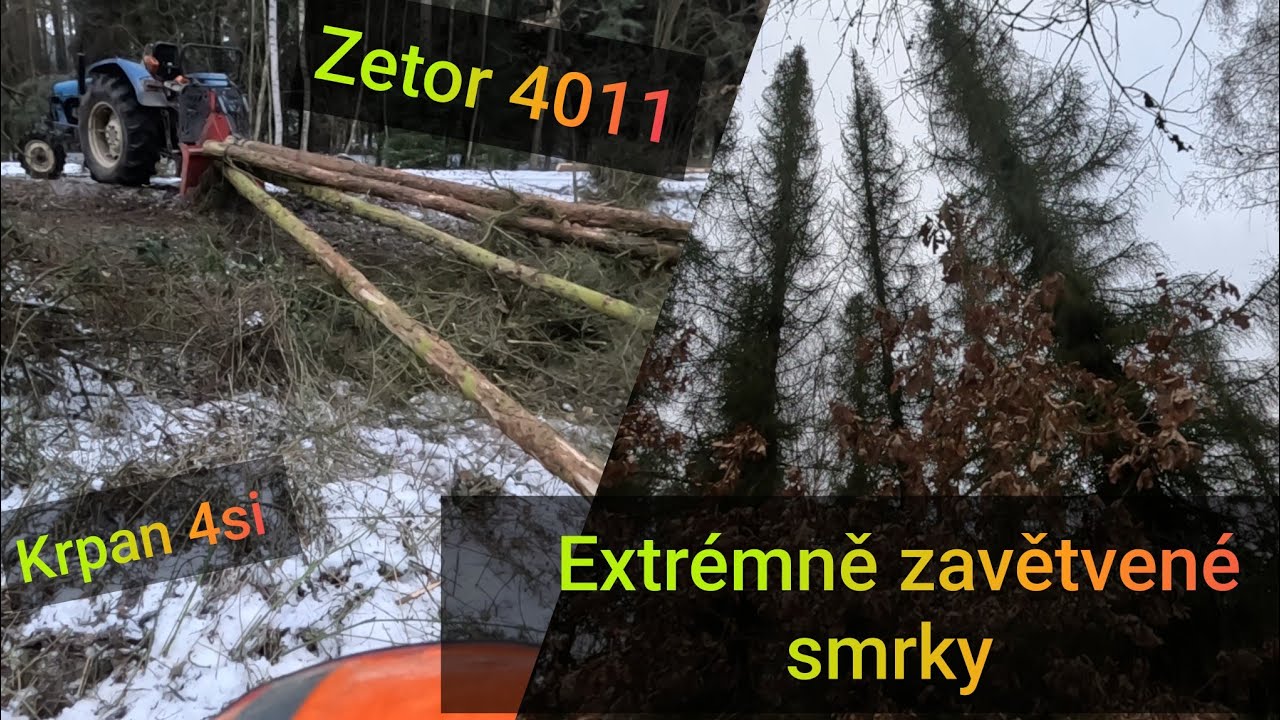 Těžba extrémně zavětvených suchých smrků, Zetor 4011, Krpan 4si s D.O., Stihl Ms 261, JP Forest 