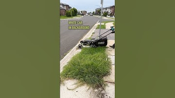 The Lawn Was Taking Over The Sidewalk! #satisfying #freemowfridays