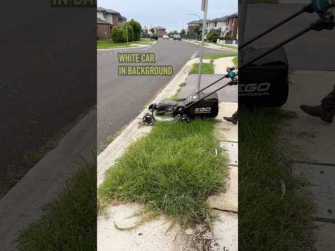 The Lawn Was