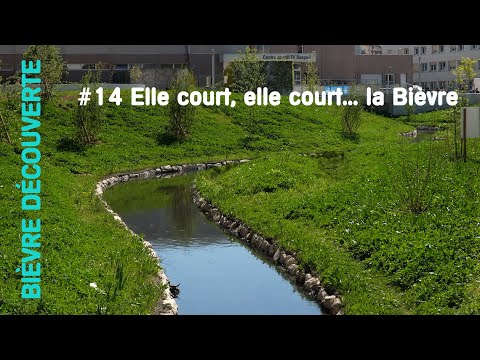 Bièvre découverte #14 Elle court, elle court... la Bièvre