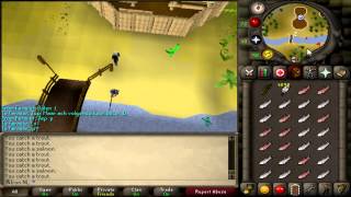 Update Video - The Next 2 Weeks