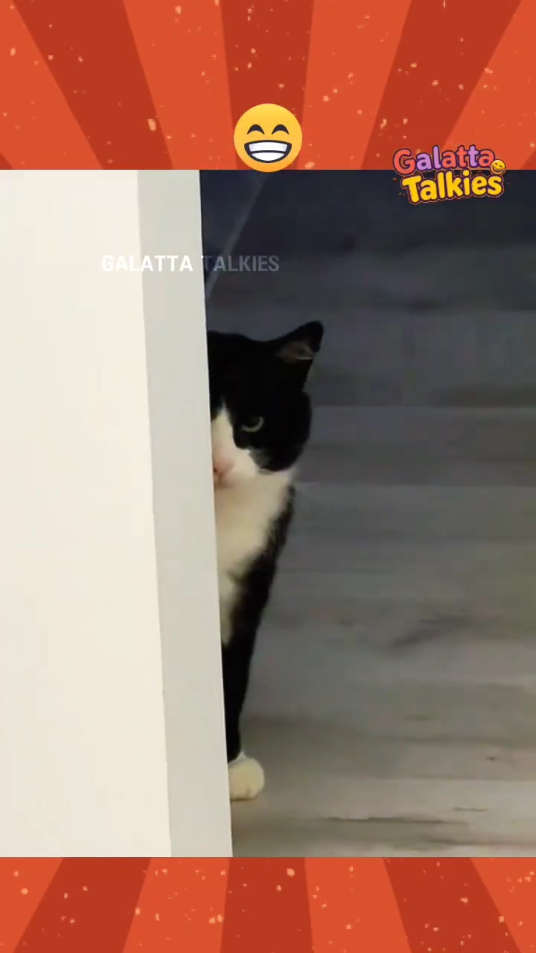 😅Funny Caption வீடியோ மீம்ஸ்📱 - ShareChat