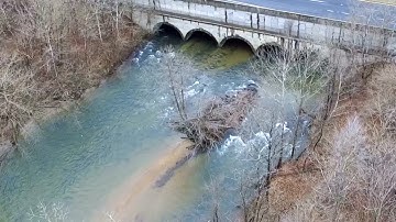 The Culling Is Coming...