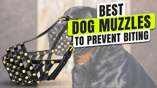 3 BEST Dog Muzzle to Prevent Biting screenshot 2
