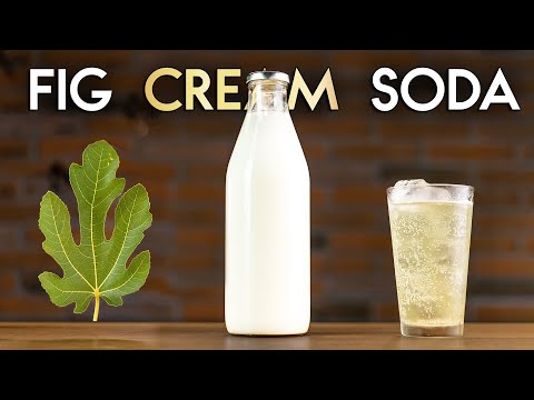 Homemade Cream Soda With Fig Leaf = Best Highball Cocktail!