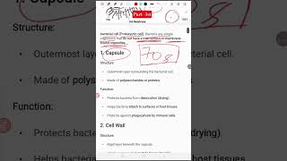 prokaryotic cell structure an its functions part 1 #prokaryotic #bacteria #science #shorts #uk2