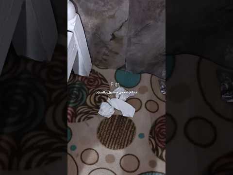 أنا جمهورية الغفافير  اكسبلور    ترند