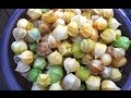 Ground Cherries: Gathering and Preparing