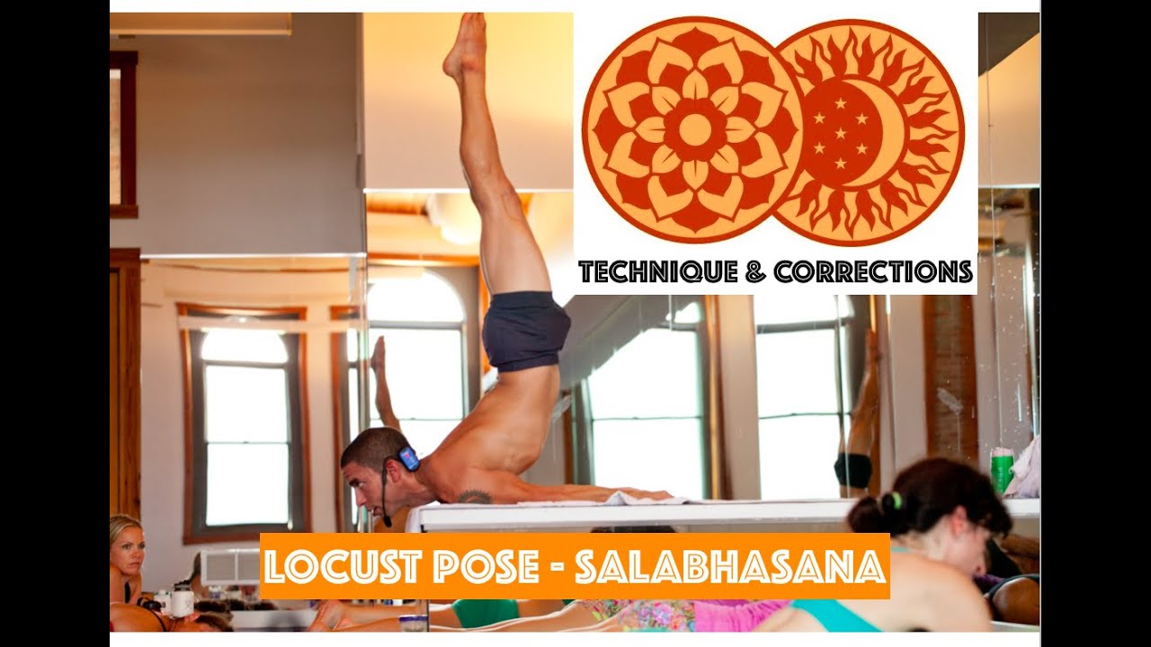 Bikram: Locust Pose (Salabhasana)  Yoga backbend, Bikram yoga, Yoga asanas