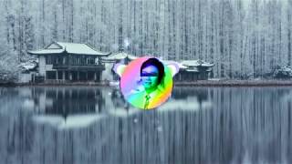 PICTURE - 一剪梅 Xue Hua Piao Piao (Psytrance Remix)